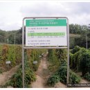 오주농장 이미지