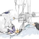 제방안길1 이미지