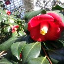 조성우렁집 이미지