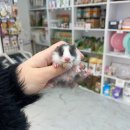 패러그린샵 동래점 이미지