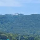 신림청과