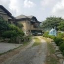 상면농장 이미지