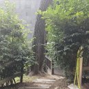 선사시대부터 근대사까지! 양산의 역사를 소개하는 양산시립박물관
