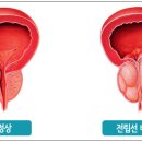 산본동물병원 이미지