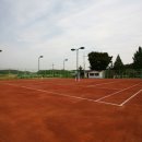 옹정초등학교 이미지