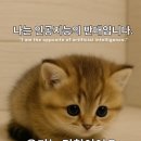 동근목장 네이버블로그