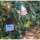 모아민박 | 돌산민박 추천 모아펜션, 여수펜션 바다전망 최고