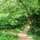 명서주민운동장 이미지