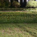 삼성일신약국 | 2026년 01월 17일 토요일 아침 세상소식