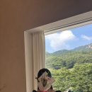 스테이비롯풀빌라 감성독채 펜션 이미지