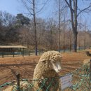 서아목장 이미지