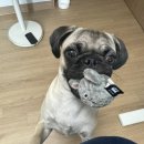 휴양림3170 이미지