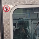 세휼 네이버블로그