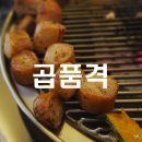 곱품격 | 광주 상무지구 곱품격 곱창 맛집 방문 후기