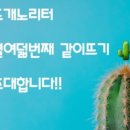 미니노리터 네이버블로그