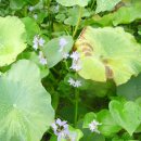 여로여인숙 이미지