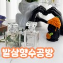 발삼향수공방 | 제주 향수공방 함덕데이트 발삼향수공방