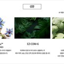 꽃송이인셀덤 이미지