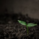 옥천동이로 이미지