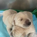 엠케이개발 이미지