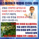 수지메디칼약국 네이버블로그