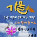 계양 아라온 꽃놀이 이미지