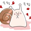 연돈볼카츠군산수송점 이미지