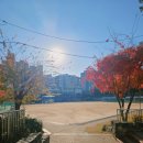 경희대영광태권도 이미지