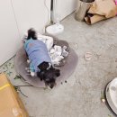 임광세탁 이미지