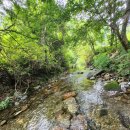 숲속의 하얀펜션 이미지