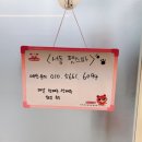 서동 펫스파 이미지