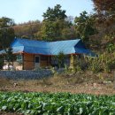 불은면공인중개사사무소 이미지