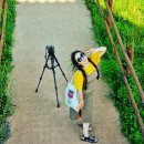 자연의 미학 이미지