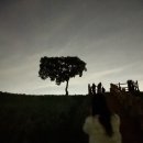 당포의아침 이미지