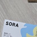 도봉로1길 | 먹고 놀고 일하느라 쉴 날이 없었던 나의 3월 ...🤍 (하이디라오, 학동역 맛집, 포석정 야장, 국내여행...