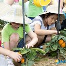 김상경 농장 이미지