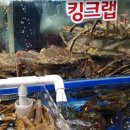 가락활어회센터