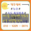 전주 효자동 집밥 같은 백반 맛집! 단돈 5천원 착한 가격 점심 추천 장소! 뜨락칼국수 방문 후기 리뷰