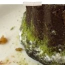 진주광고 | 진주광고 지역 마케팅 성공의 숨은 비밀