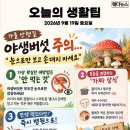 오늘의 생활 팁 - 가을 산행길, 야생버섯 주의 이미지