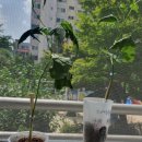 디저트39 신구대점 이미지