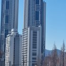 리본공인중개사사무소 이미지