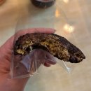 백투디저트