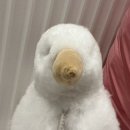 반구대민박 | 11월의 일상