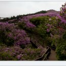 (제301차) 2018년 4월 28일 남원 봉화산 철쭉꽃 산행 이미지