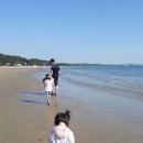 블루오션리조트홀리데이파크 이미지