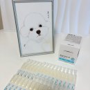 아이드큐 | 강아지눈세정제 찾는다면 저자극 성분 순한 페토세라 큐아이드롭