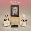 보람휘트니스 이미지