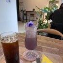 카페 플로라운지 이미지