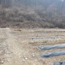 백두대간농장 이미지